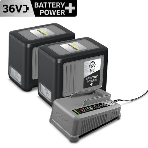 2 x Battery Power+ 36 V / 6,0 Ah + Schnellladegerät 36 V